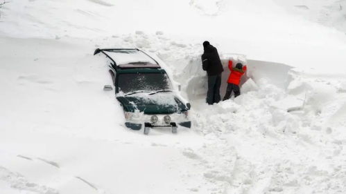 黑龙江鹤岗暴雪，找自家车像开盲盒