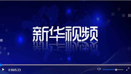 构建体系的宏伟蓝图——习近平的智慧与担当