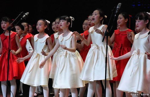 高校学生穿完演出服后集体退货，环保意识觉醒下的尴尬事件