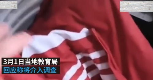 揭秘中学冬季校服填充物，碎布屑背后的真相