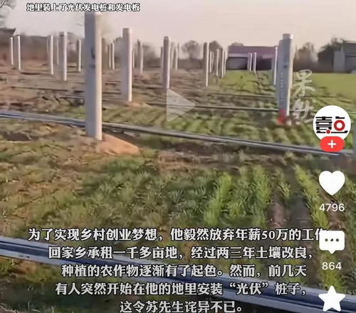村支书回应男子回乡种地麦田被毁，事情原委及后续处理