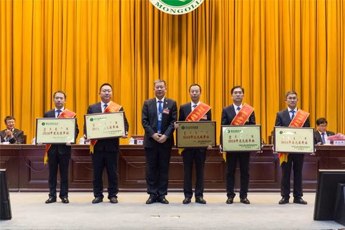 最强县级市女市长拟任新职，谱写新时代女性领导新篇章