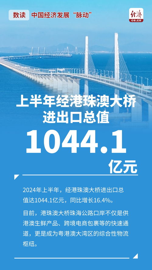 数说2024，中国经济脉动的深度解析