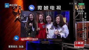 周杰伦的音乐之舞，16首经典曲目命名新蜘蛛种