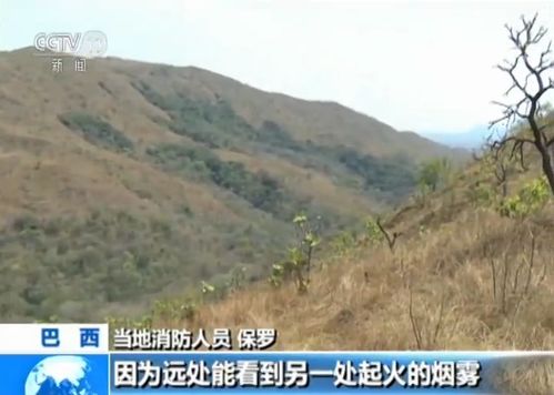 央视记者洛杉矶火场报道，一线视角下的战区实景