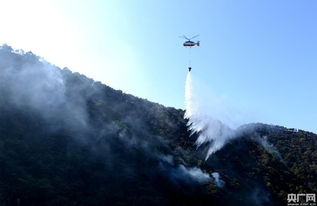 广东肇庆山火扑救行动，600人共赴前线