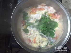 全球美食热潮，全世界都在做鸡蛋羹