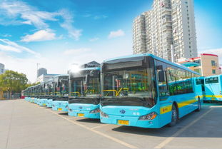 城市交通新选择，为何小公交逐渐成为城市交通的宠儿