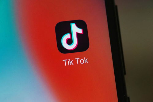 外交部就TikTok恢复在美服务作出回应，坚定维护企业合法权益，推动公平竞争环境