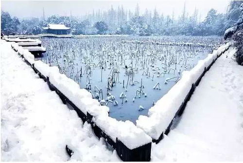 河南局部地区遭遇罕见暴雪，20毫米以上的雪情纪实