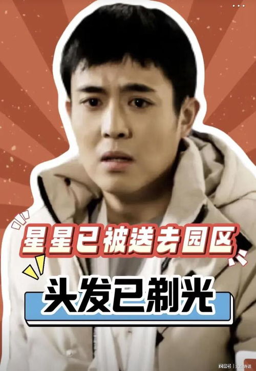 骗王星赴泰国，颜十六真实身份曝光，背后真相令人震惊！