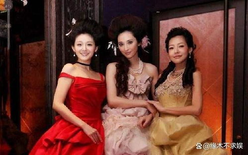 吴佩慈医院送大S最后一程，深情告别诠释姐妹情深