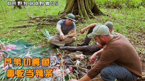 澳一男子后院惊现百余条毒蛇，奇遇与挑战并存