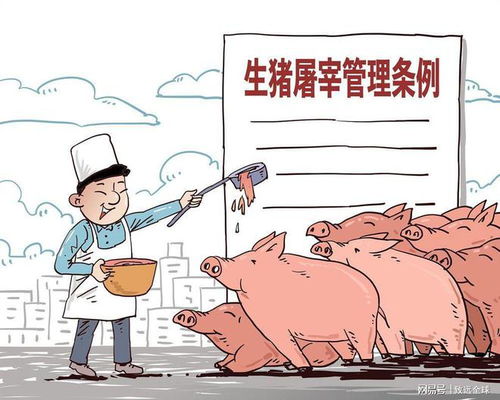 农民卖羊肉赚180被罚10万，改判罚1万，正义与公平的较量