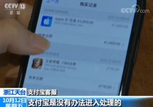 多地苹果手机用户遭遇盗刷，安全防护刻不容缓