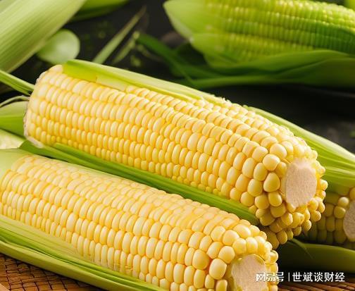 糯玉米与甜玉米，谁是升糖刺客的较量