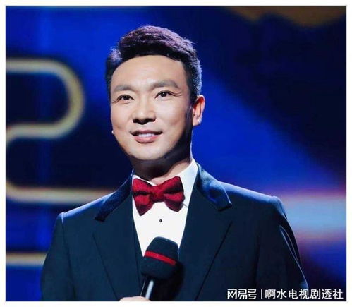 主持人康辉迎来新身份