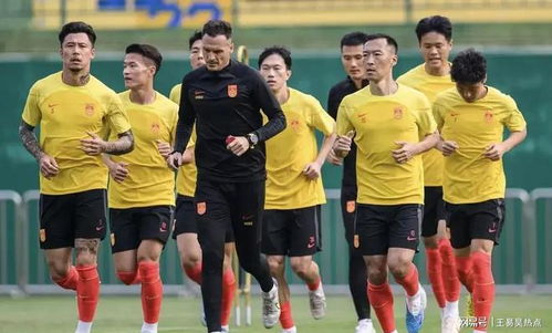 日本队晋级2026世界杯，足球梦之队的崛起