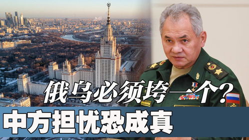 特朗普预言成真？俄乌战事或迎来全面停火曙光