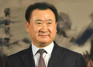 王健林80亿元股权被全部冻结，商业巨头的挑战与未来