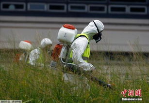 新病毒在俄罗斯蔓延引发关注，卫生机构积极回应应对措施