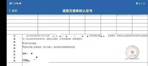 极端大风下车辆被树砸中，责任认定及赔偿问题解析
