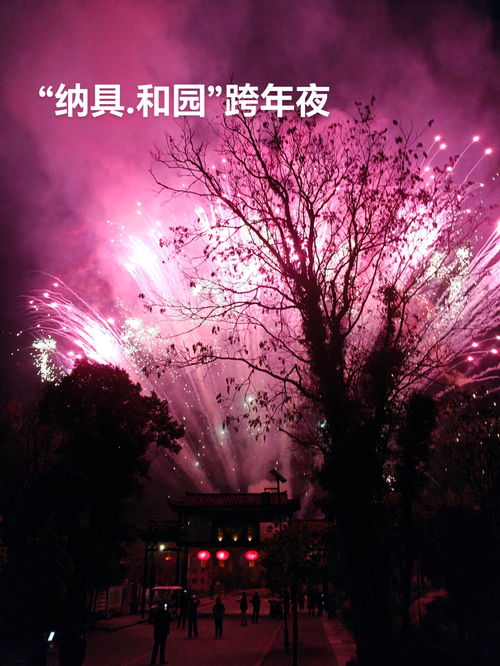在版纳的烟火中，感悟人生的绚烂与短暂