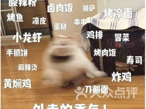 刘强东送外卖遇卡餐，卡出迷茫表情包引发网友热议
