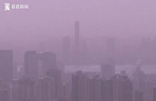 太平洋污染问题，特朗普用P图甩锅中国，真相却令人咋舌