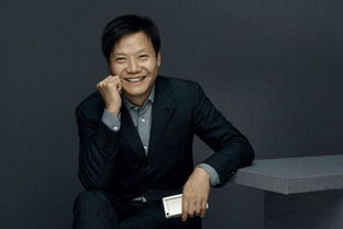 雷军，过去一个多月是我最艰难的时间，但也是成长最快的时期