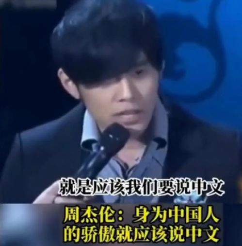 台媒体人深情呼唤，台湾，是时候回家了