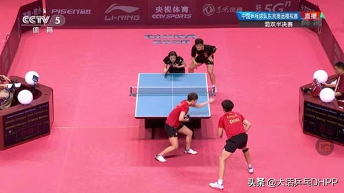 王楚钦鹰眼挑战成功，乒乓球界再添辉煌传奇