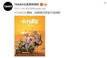 胖都来，改名为盈都来——一场美丽与财富的邂逅
