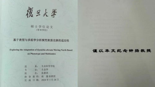 指导本科毕业论文，一场泪水的洗礼