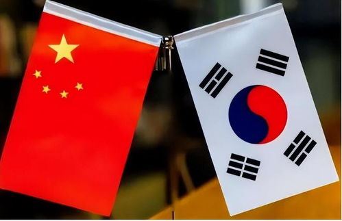 揭秘韩国紧急戒严真相，尹锡悦政府面临全面调查