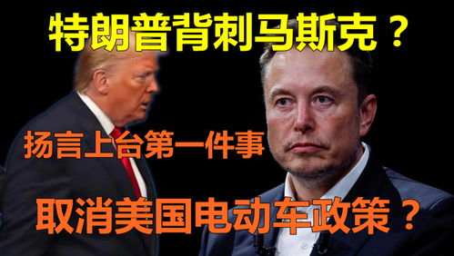 特朗普与马斯克互道祝福，关系缓和背后的故事