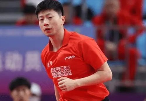樊振东乒超四战四胜，展现超凡实力与不屈斗志