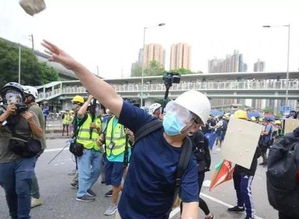 警方通报村民哄抢事件，上百亩土豆背后的真相