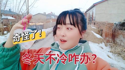 八岁童星网购狂潮，一万元购买26箱荔枝的背后故事