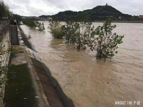 网友实拍张家界洪水画面震撼人心
