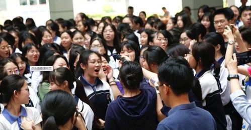 当我专升本后，再次踏上本升专的征途