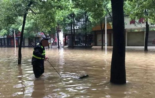 夫妻疑暴雨中触电遇难，知情人的悲痛与真相