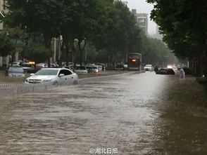 成都发布暴雨红色预警，城市紧急应对，市民共筑安全防线