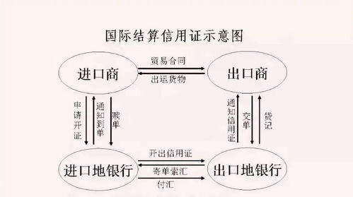国际贸易前准备什么