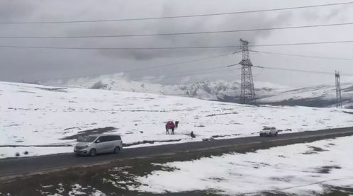 7月的青海还在下雪