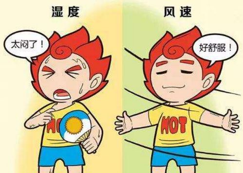 为何天气预报跟体感温度差这么多?