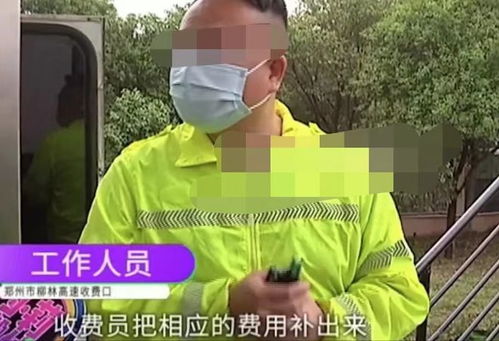 官方回应运韭菜苔走绿通被收过路费