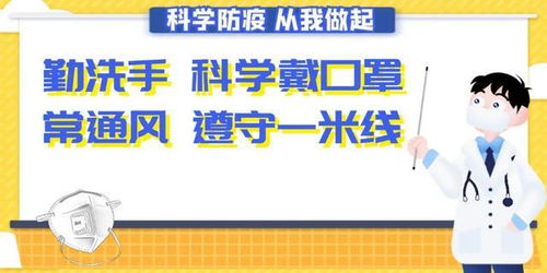 贸易上班做什么的