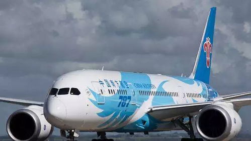 南航一架波音787备降:高空冒烧焦味