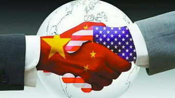 金光贸易做什么的